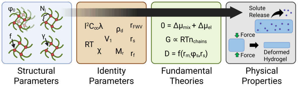 A schematic representing the steps in the swollen polymer network model from structural parameters through identity parameters and fundamental theories to predicting physical properties